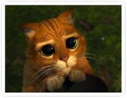 [PSG] Lupus Peter Logo