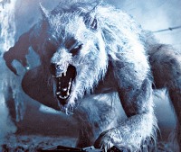 Brutcho - The Holy Dragon Logo