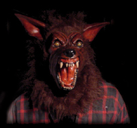 F E D O R Z A O Logo