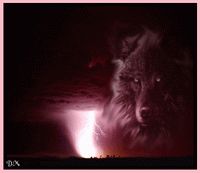 [WTD] olimpo [w.30] Logo