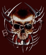 [ B e c k i s ] Logo