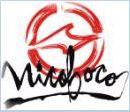 NiCoBoCoO Logo