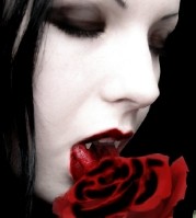 Night Insect [Girl] Logo