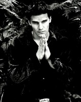 [BA] Angel of Shadow Logo