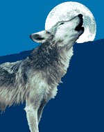 Smolk Wolf Logo