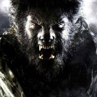 MASTER WOLF MAN Logo