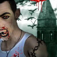 Nywl MacLachlan Logo