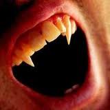 Stefan Cherloock Logo